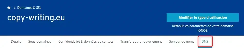 Paramètres DNS domaine Ionos