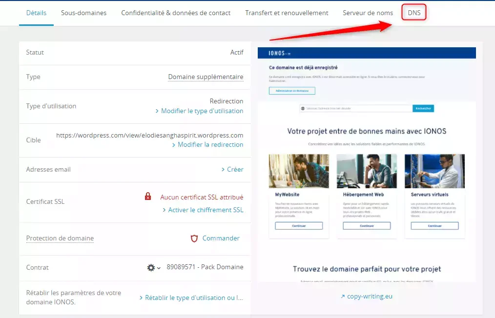 DNS Wordpress