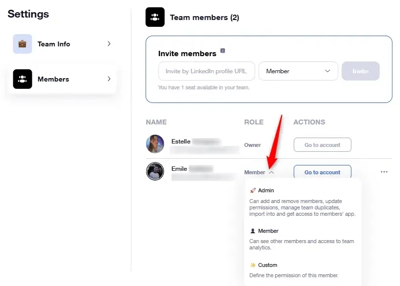 Page de gestion des membres d'une équipe, avec options de rôle pour Ernile en tant que membre.