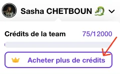 "Interface de jeu montrant des crédits de team et un bouton pour acheter plus."