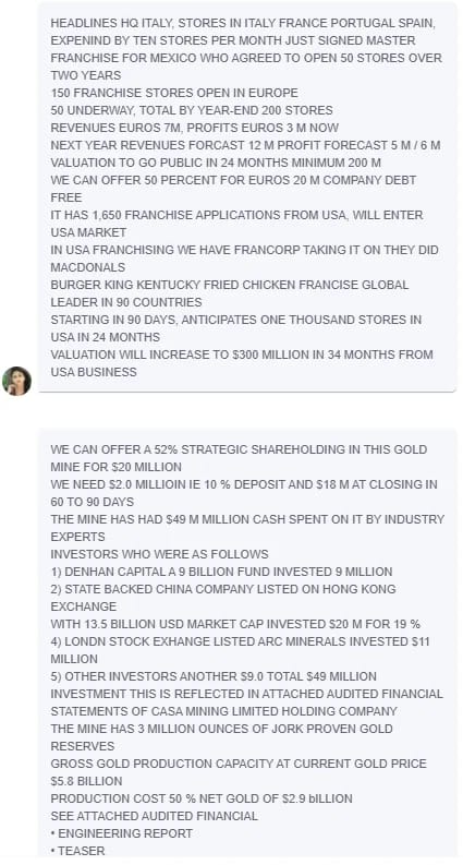 Franchise expansion business opportunities pitch