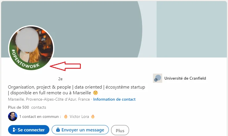 Profil LinkedIn avec photo profil vide, texte sur l'entreprise et localisation à Marseille, France.