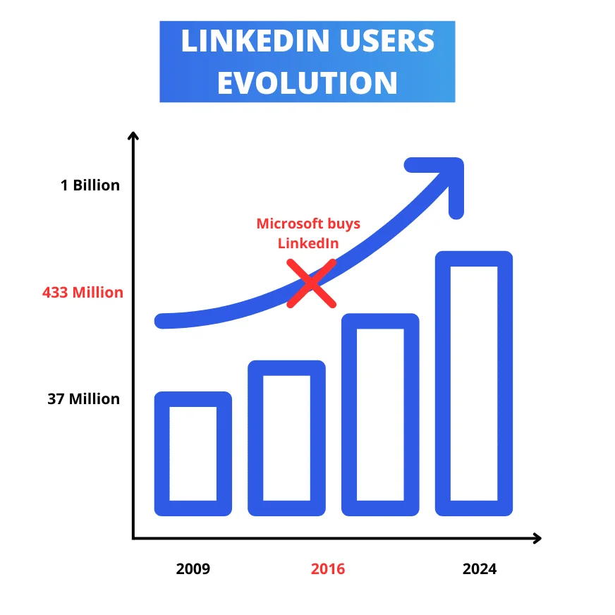 LinkedIn users 2024